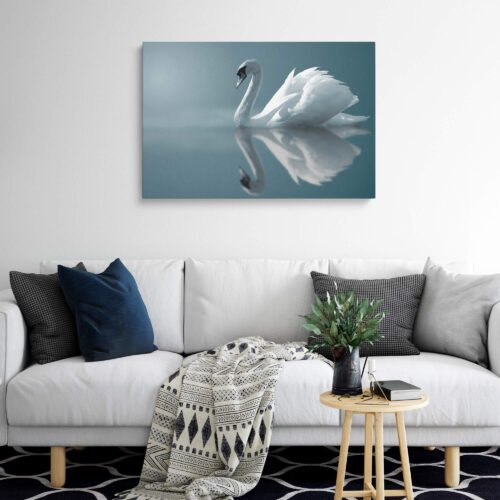 Graceful Reflections -  The Mirrored Beauty of a Swan on the Lake - Wall Art Prints