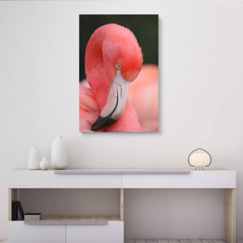  Blushing Elegance: Pink Flamingo on Canvas Prints