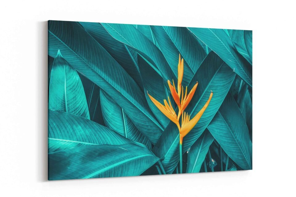 Amazon Flower - Art Print on Canvas