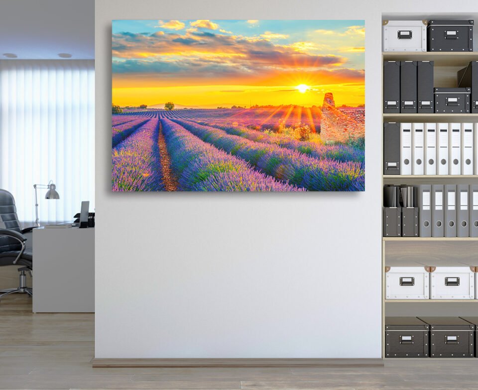 Lavender Field Wall Art Prints