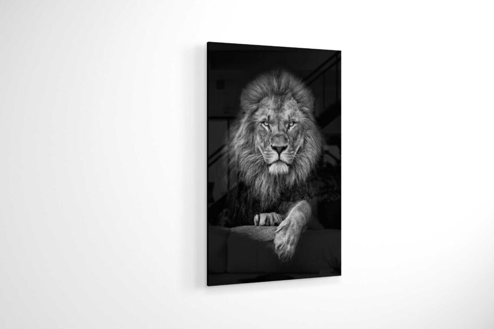 Glass Wall Art - Silver Lion
