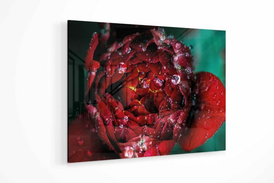Glass Wall Art - Macro Drops