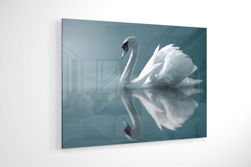 Glass Wall Art - Mirror Swan