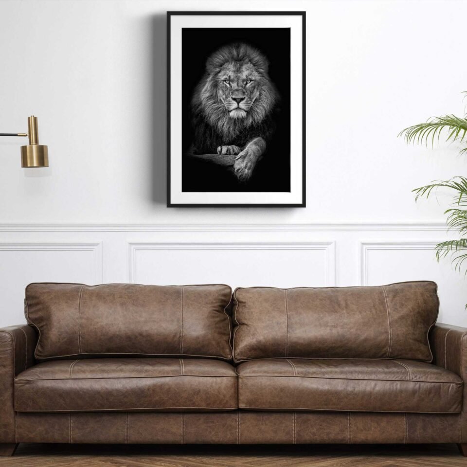 Silver Lion - Framed Photo Prints