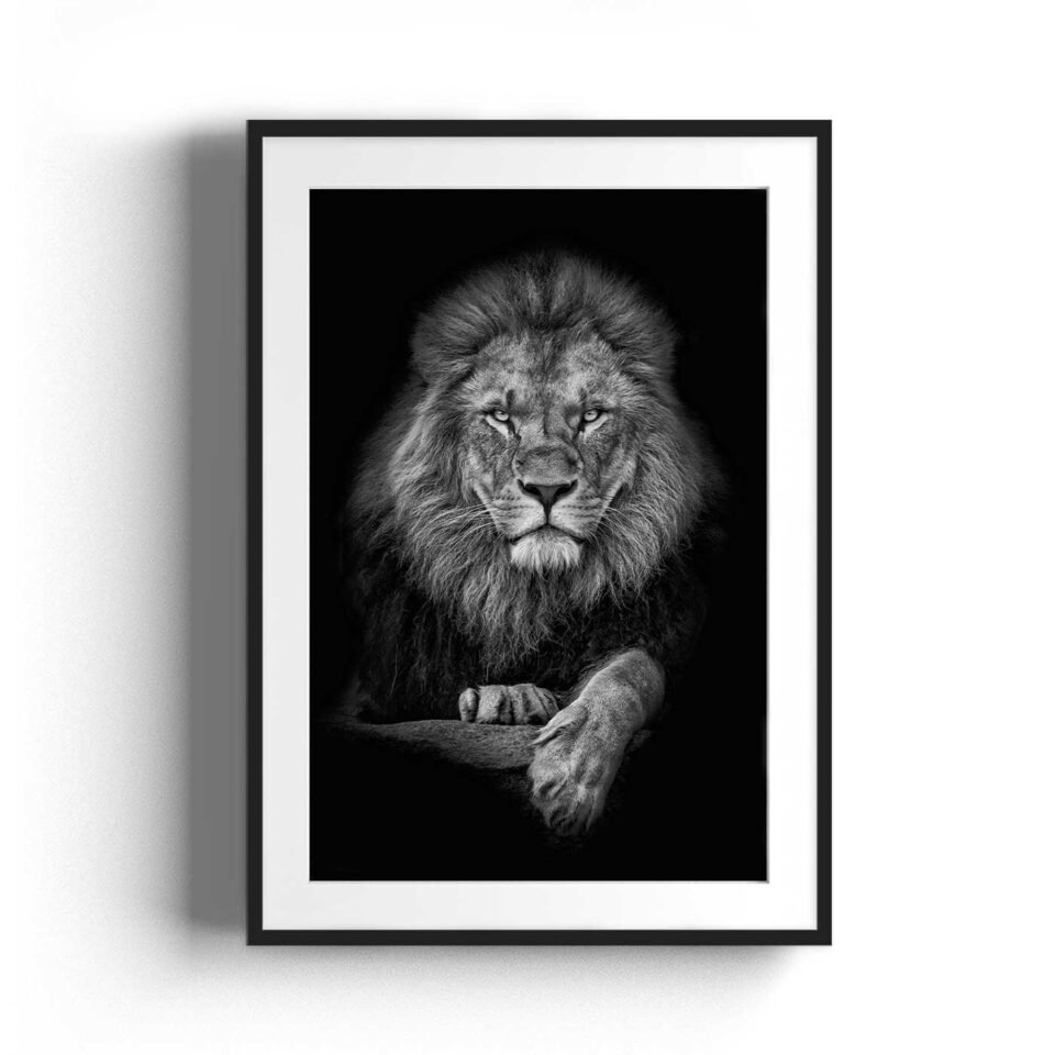 Silver lion SITE F