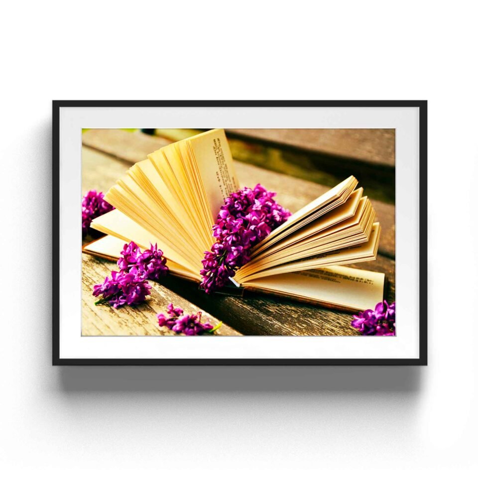 dream book F