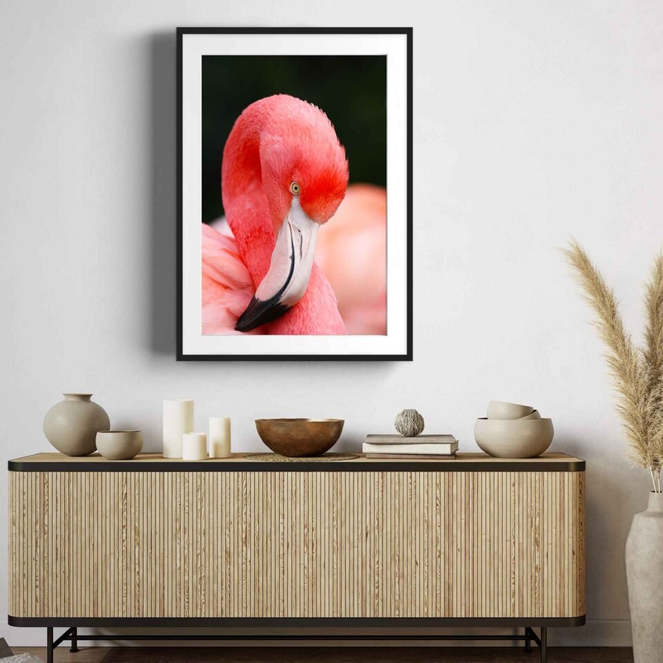 Flamingo - Framed Photo Prints