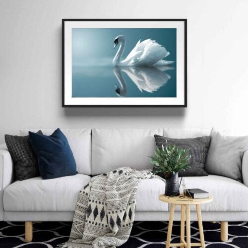 Mirror Swan - Framed Photo Prints