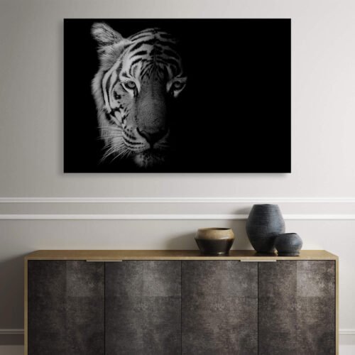 Tiger Portrait - Canvas Prints
