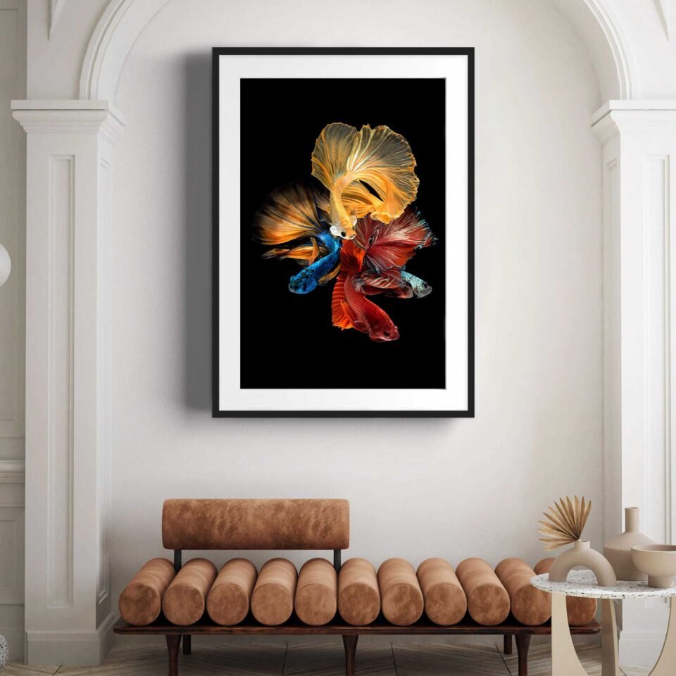Koi Fish - Framed Photo Prints