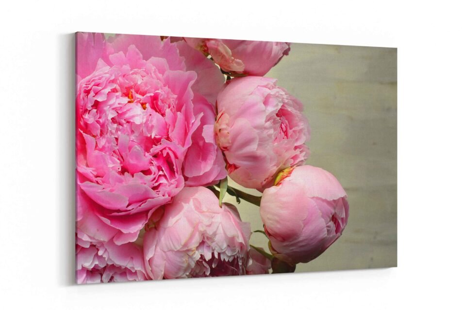 Pink Peonies front scaled