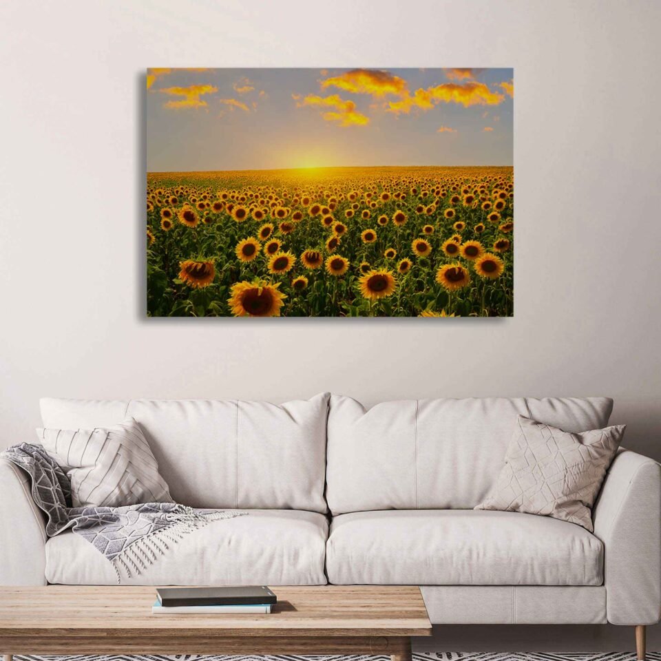 Golden Dawn - A Serene Sunrise on a Sunflower Field - Canvas Prints