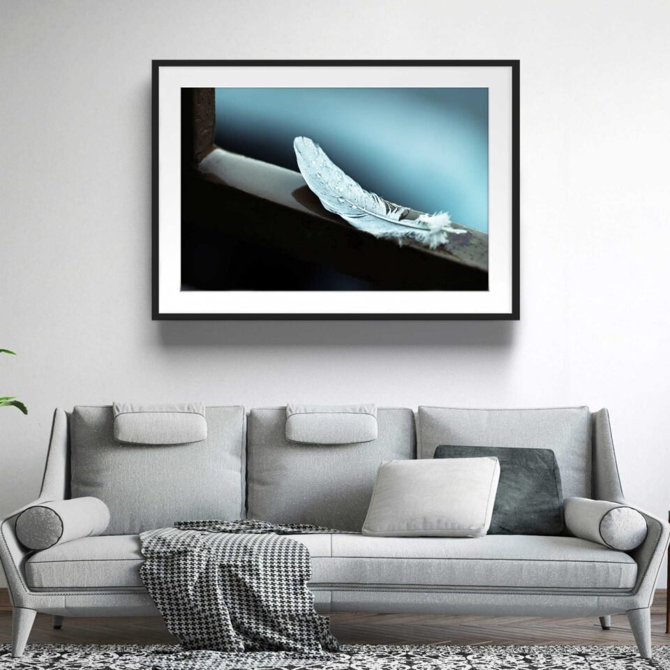 Drops on Feathers - Framed Photo Prints